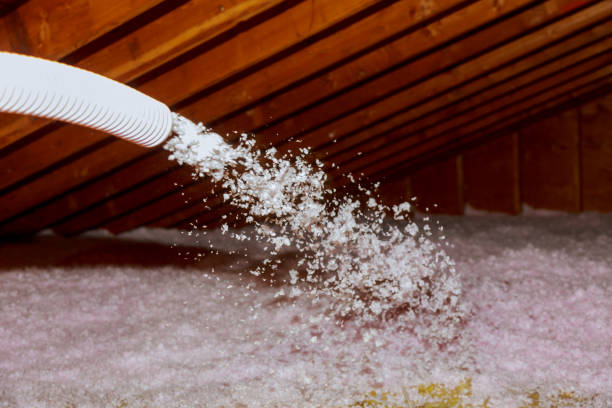 Best Commercial Insulation in Grovetown, GA