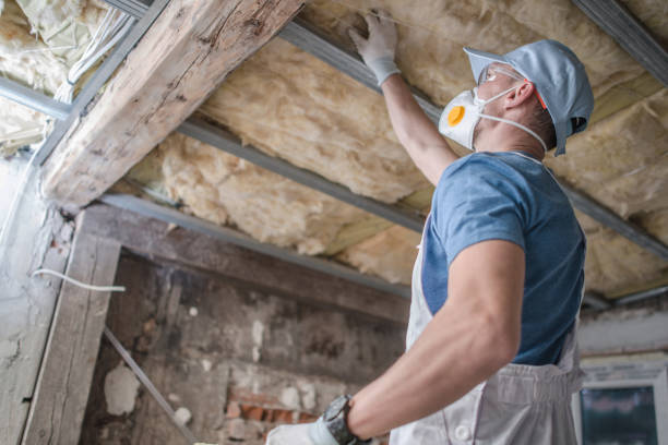 Best Geographic-Specific Insulation Services in Grovetown, GA