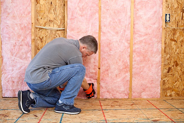 Best DIY Insulation Kits and Guidance in Grovetown, GA
