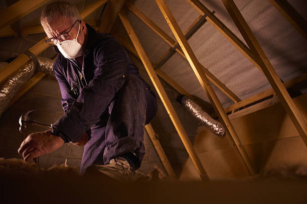 Best Energy Efficiency Insulation in Grovetown, GA